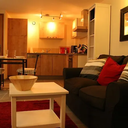 아파트 Pont Vieux