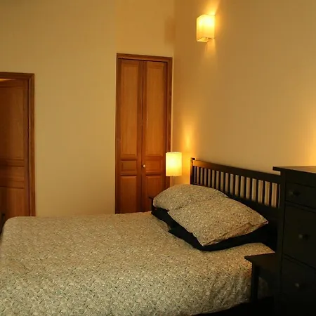 Pont Vieux 아파트 카르카손