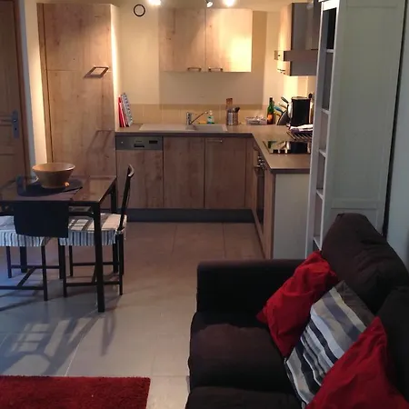 Pont Vieux 아파트