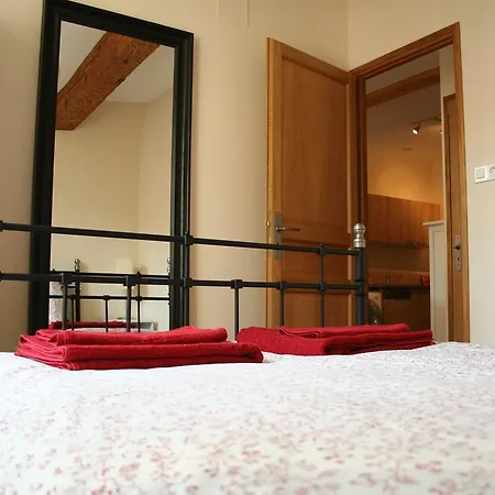 Pont Vieux * 카르카손